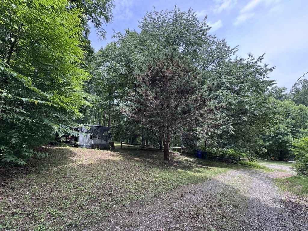 Picture 26