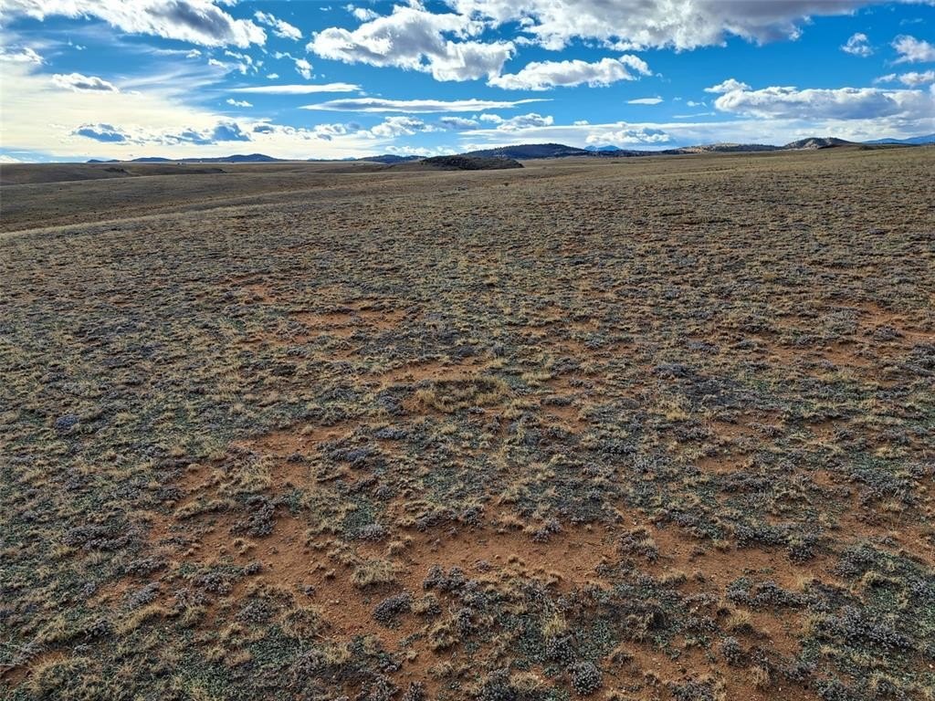 Picture 24