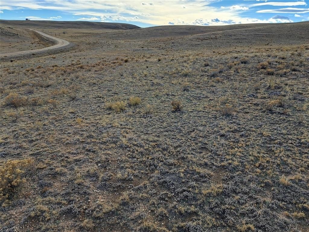 Picture 10