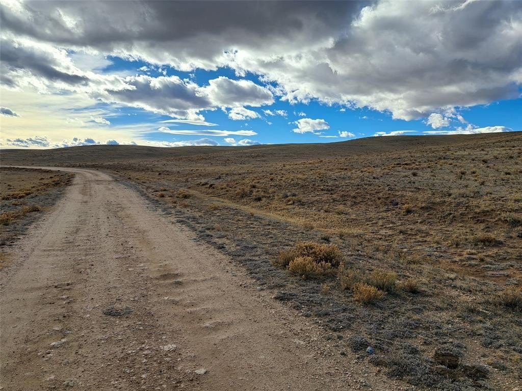 Picture 25