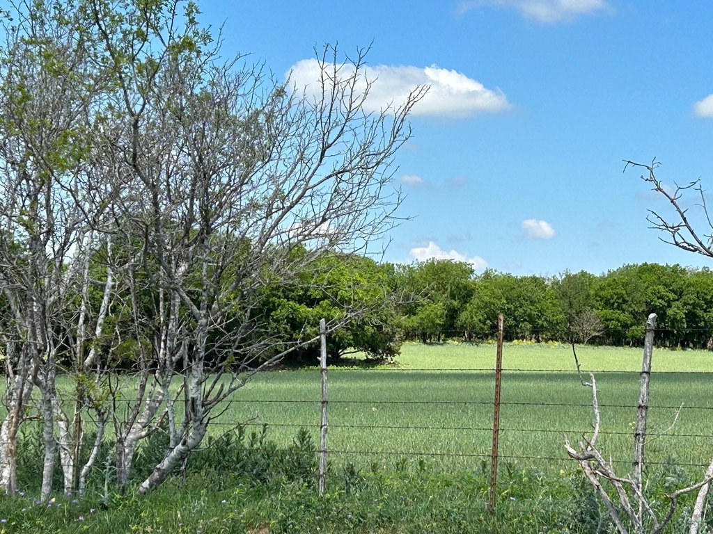Picture 27