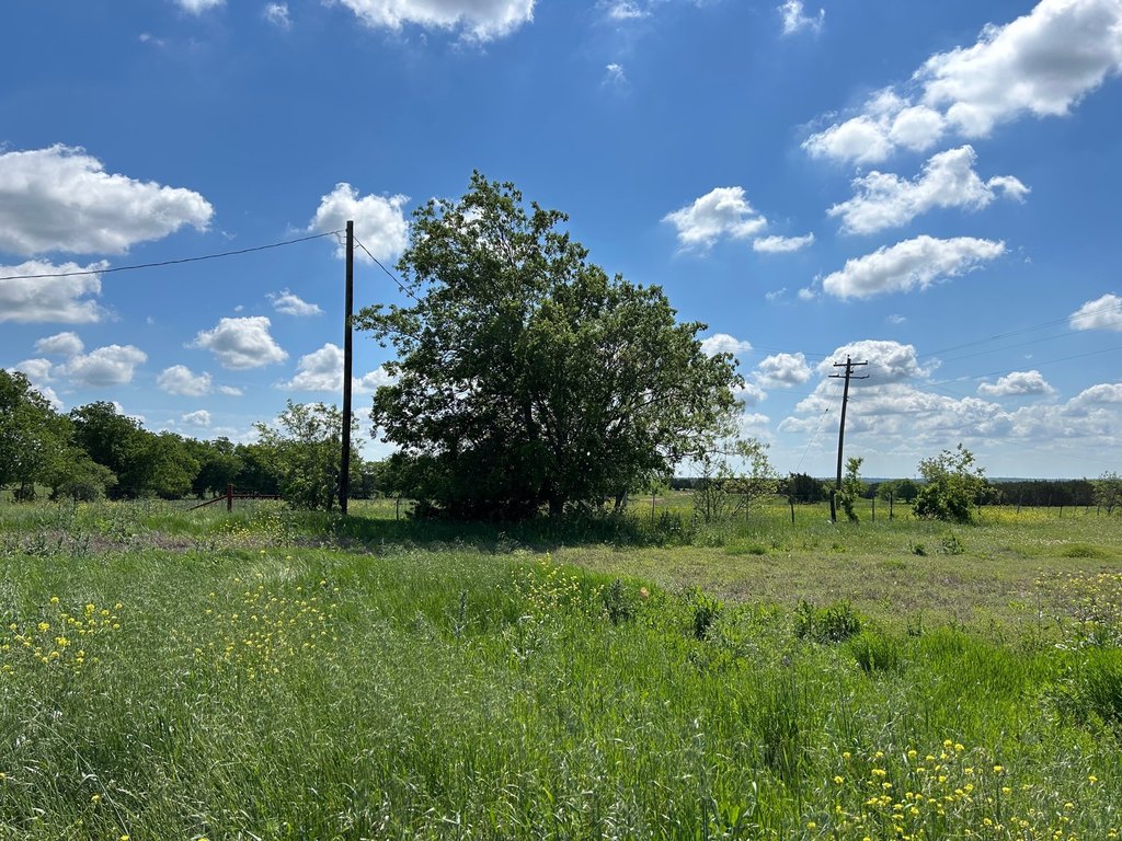 Picture 33