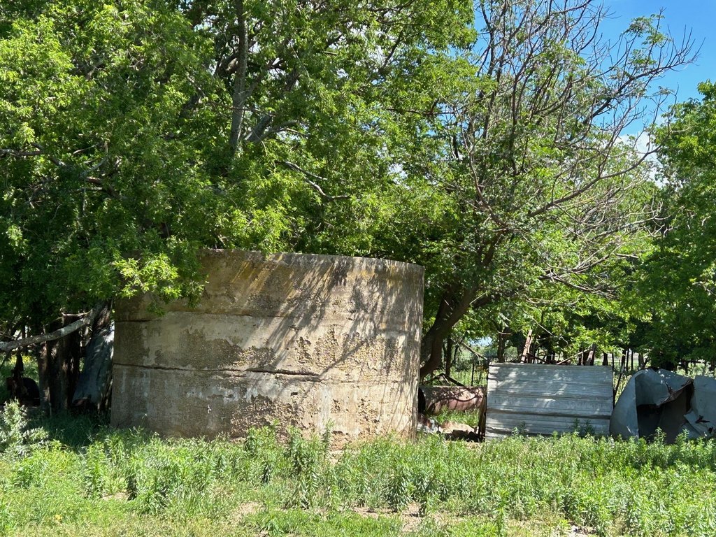 Picture 8