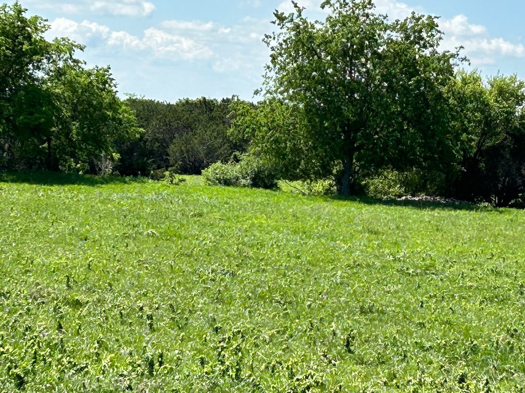 Picture 23