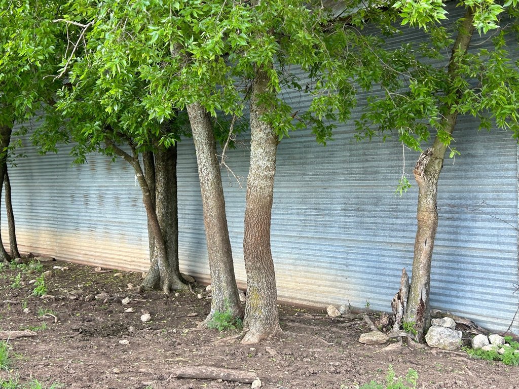 Picture 10