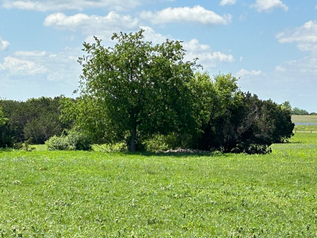 Picture 24