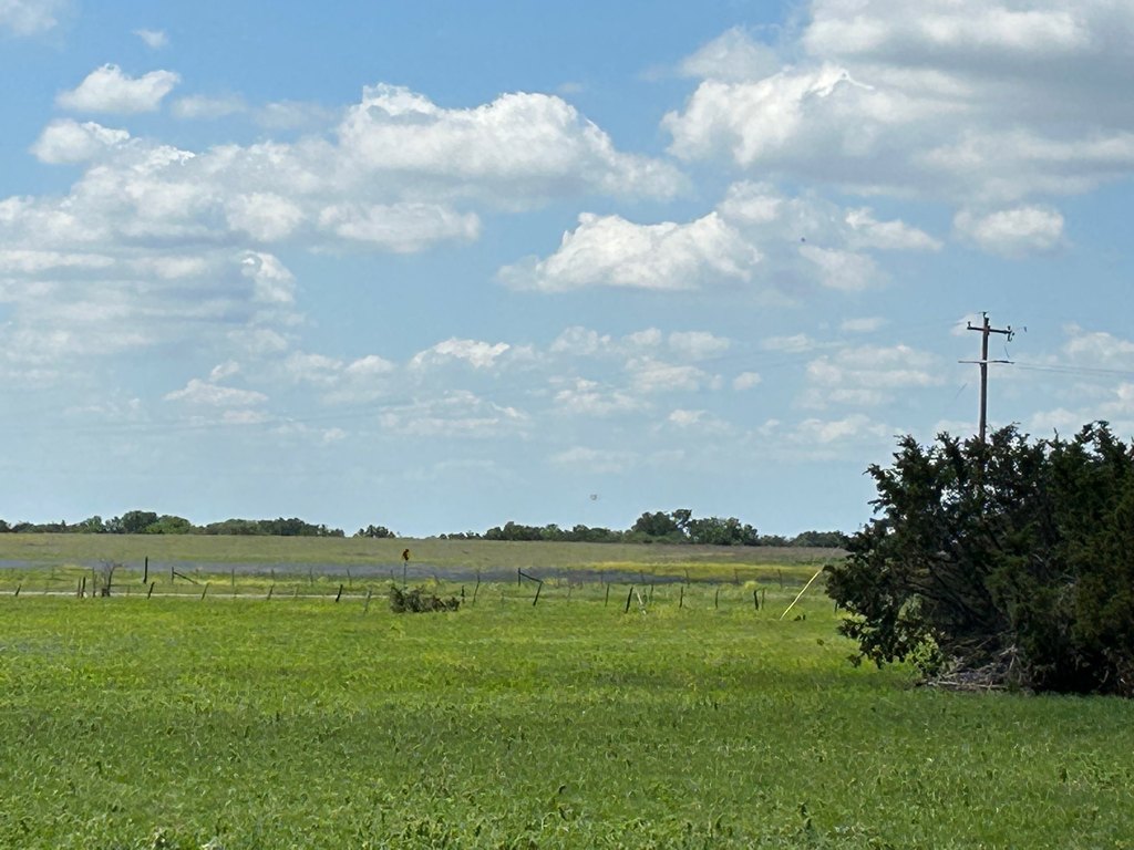 Picture 25
