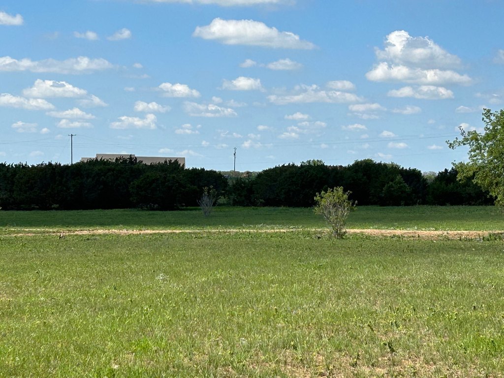 Picture 26