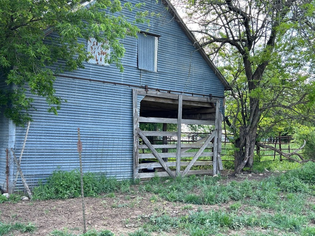 Picture 9