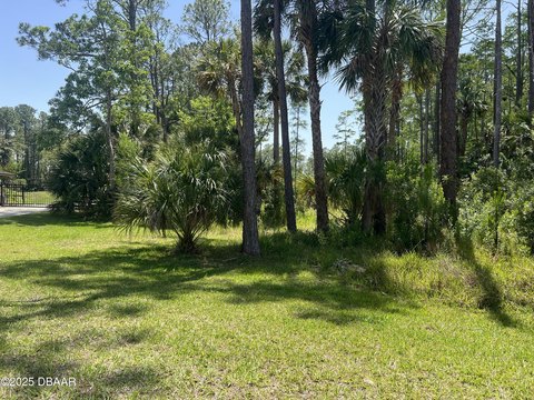 LAND - Ormond Beach, FL