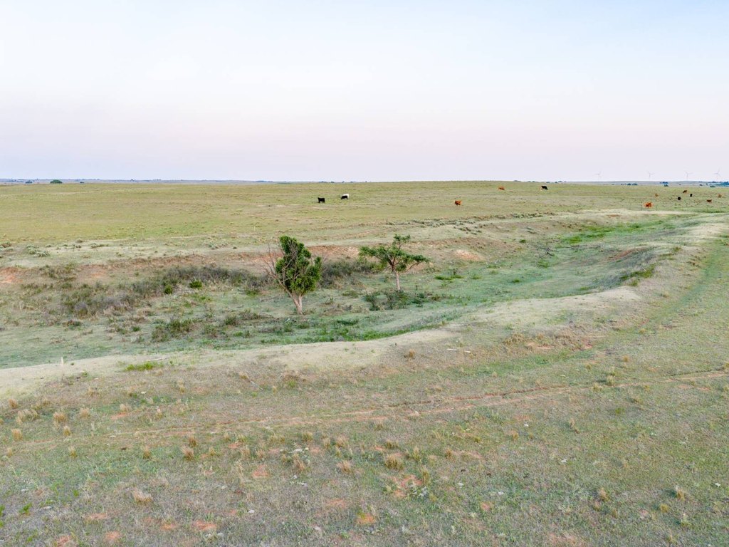 Picture 21