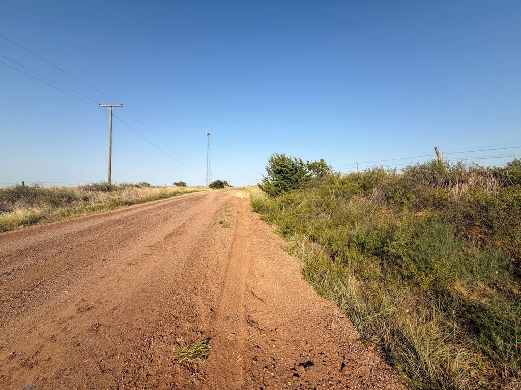 Picture 33