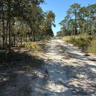 Picture 7