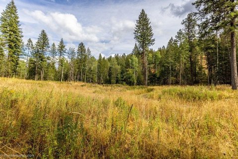 Land, Colbert, WA