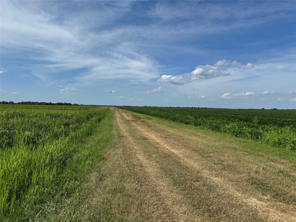 Picture 26