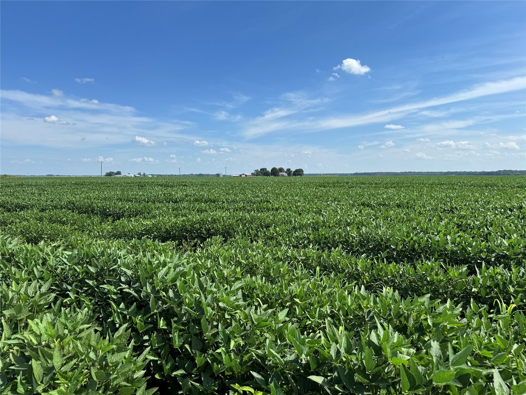 Picture 20