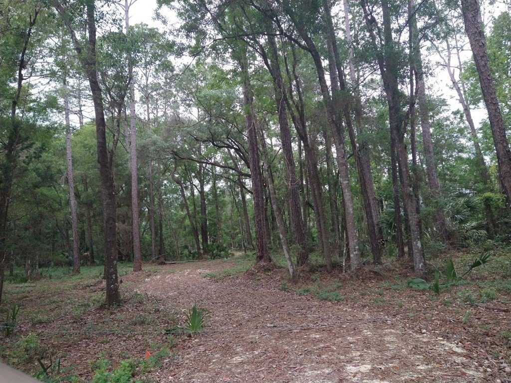 Picture 21