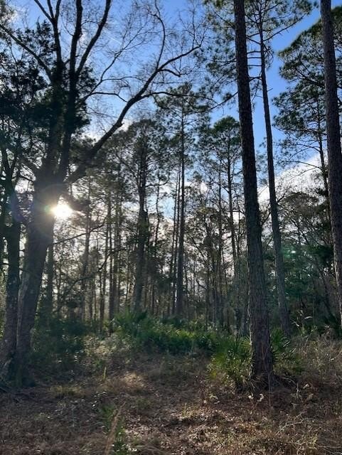 Acre Corner Lot Near Highway