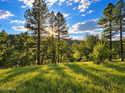 Land, Payson, AZ