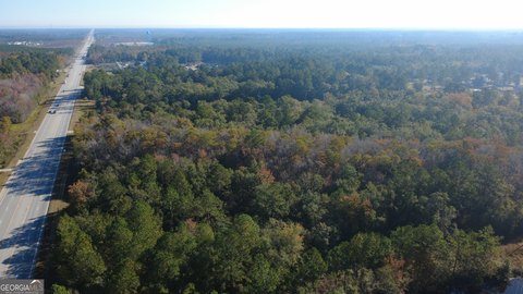 Prime Commercial Tract in Ludowici