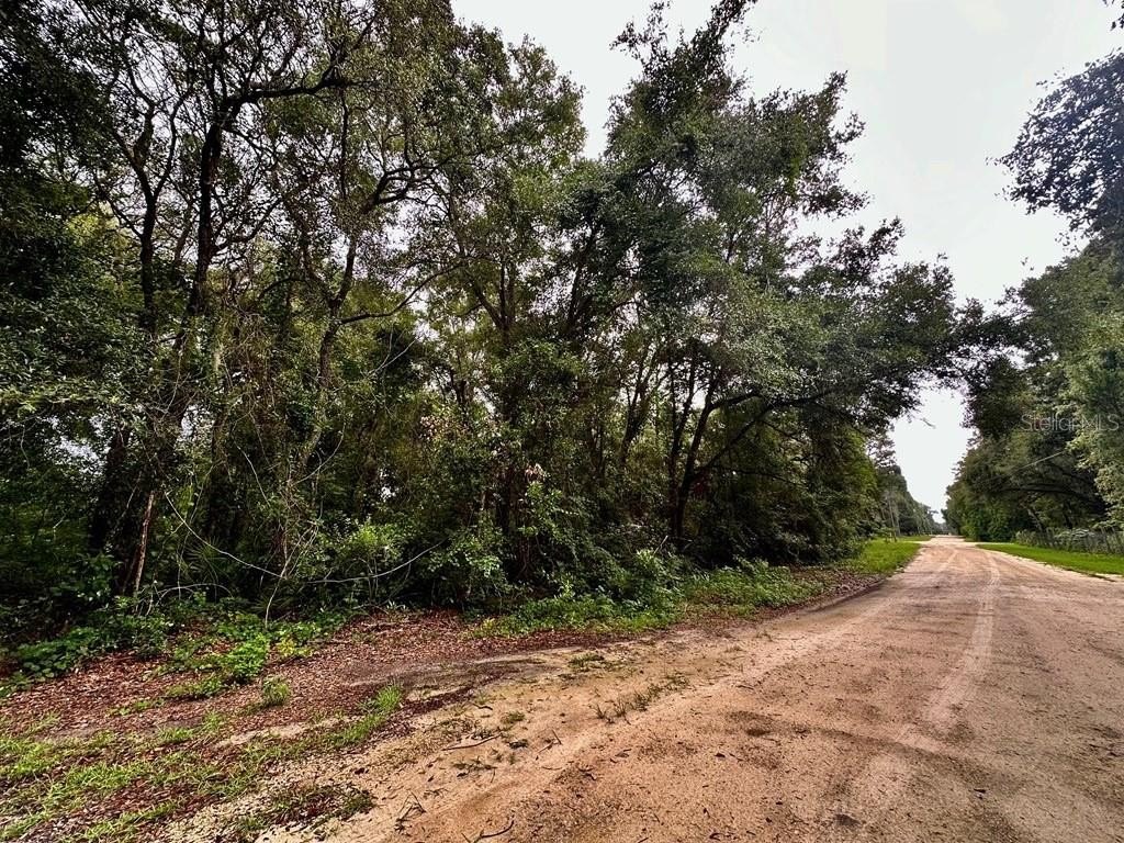 Land Near Central Florida College