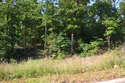 Residential Land in Cabot, AR