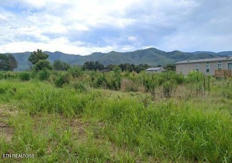 Cleared Lot in Chuckey, TN