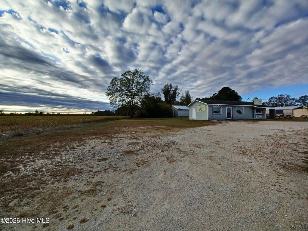 Picture 3