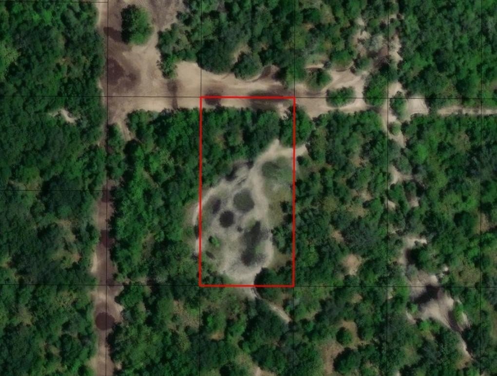 Recreational Land in Kathleen, Florida