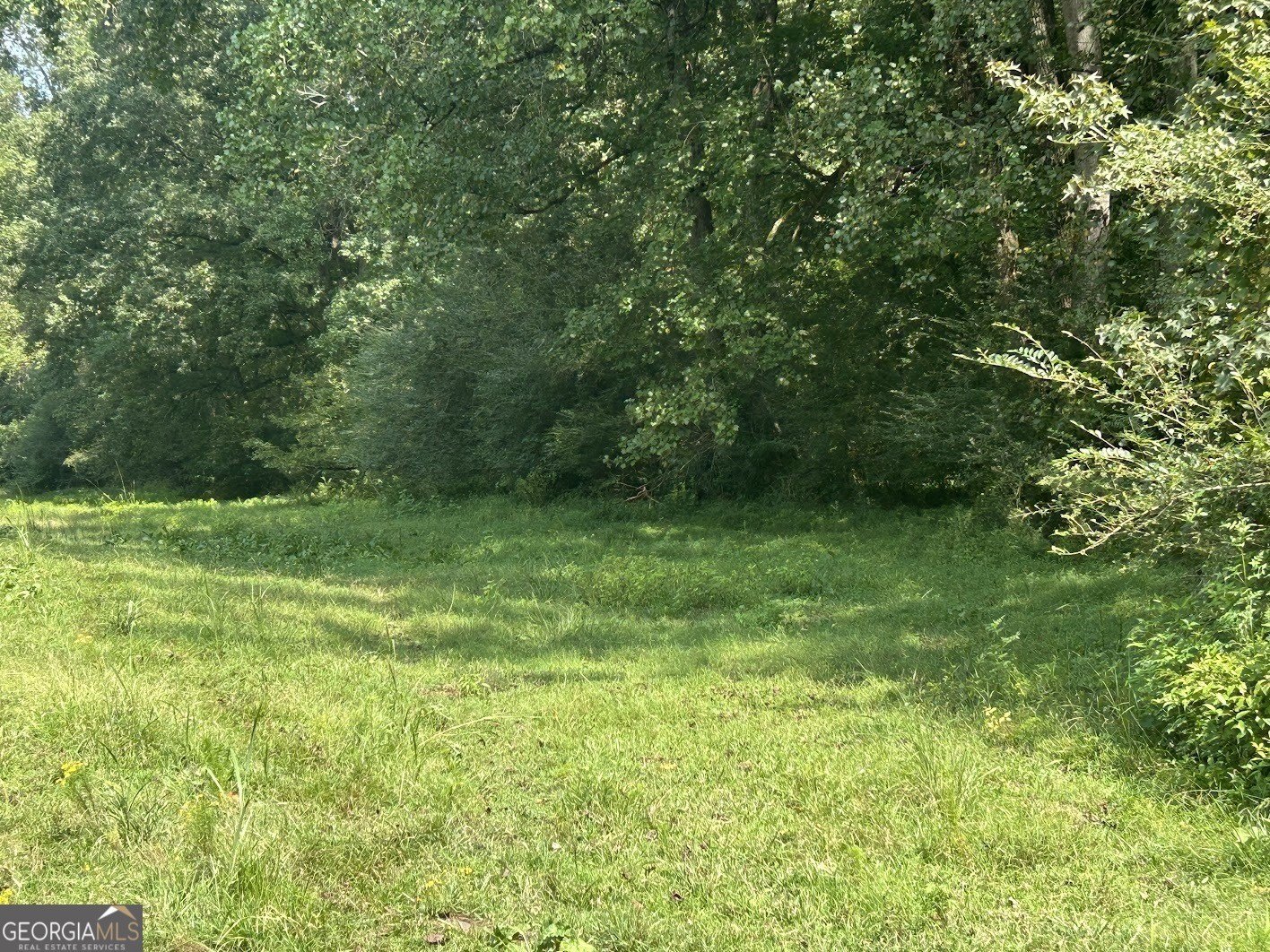 9.22 Acres in Bowdon, GA
