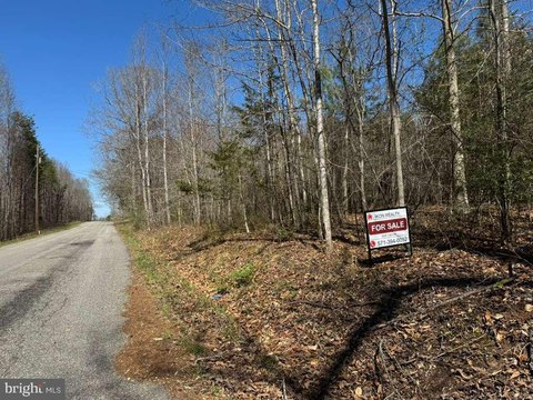 Versatile Land Parcel in Bumpass