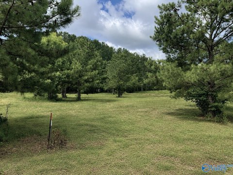 LAND - Centre, AL