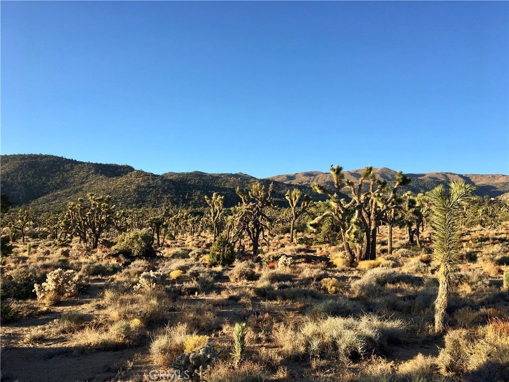 Pioneertown Land in Burns Canyon
