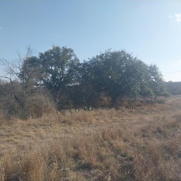 Llano County Acreage with Well