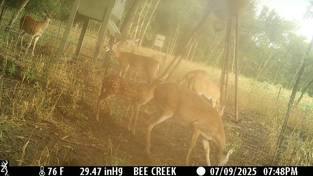 Picture 17