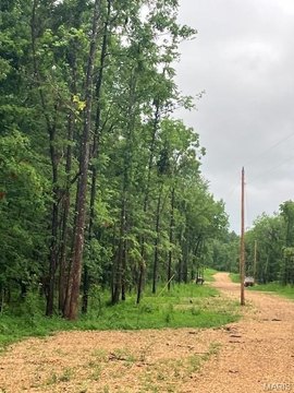 Recreational Land Near Mark Twain Forest