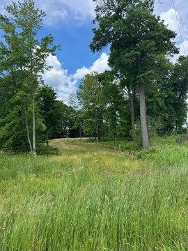 LAND - Ham Lake, MN