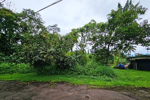 Land, Pahoa, HI