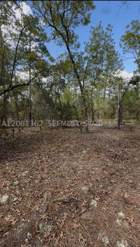 Land, Ocala, FL