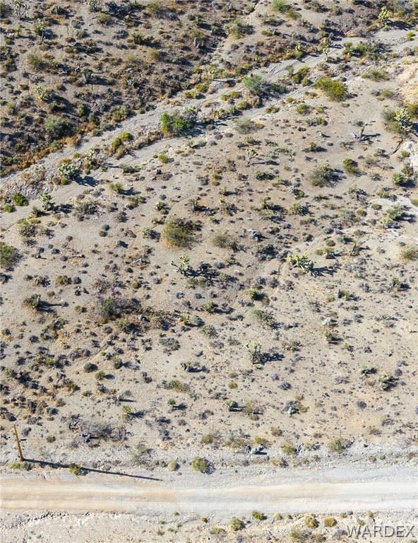 Picture 4