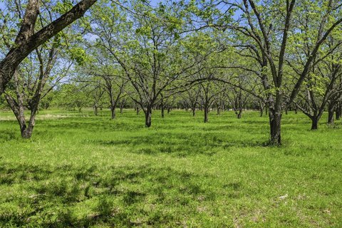 Ranch Land with Water & Well