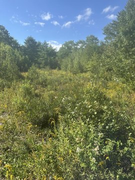 Land, Steuben, ME