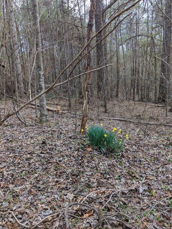 Picture 6
