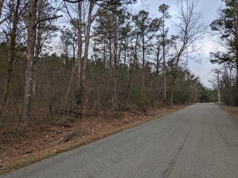 Timber-Adjacent Hunting Land Parcel