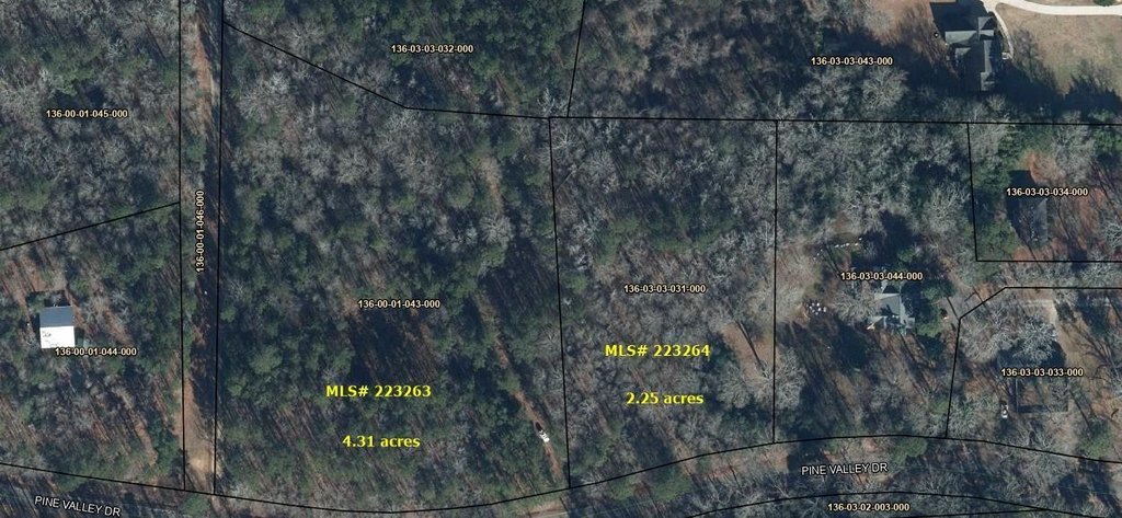 Picture 3