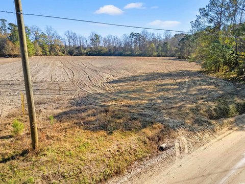 Cleared Land in Loris, SC
