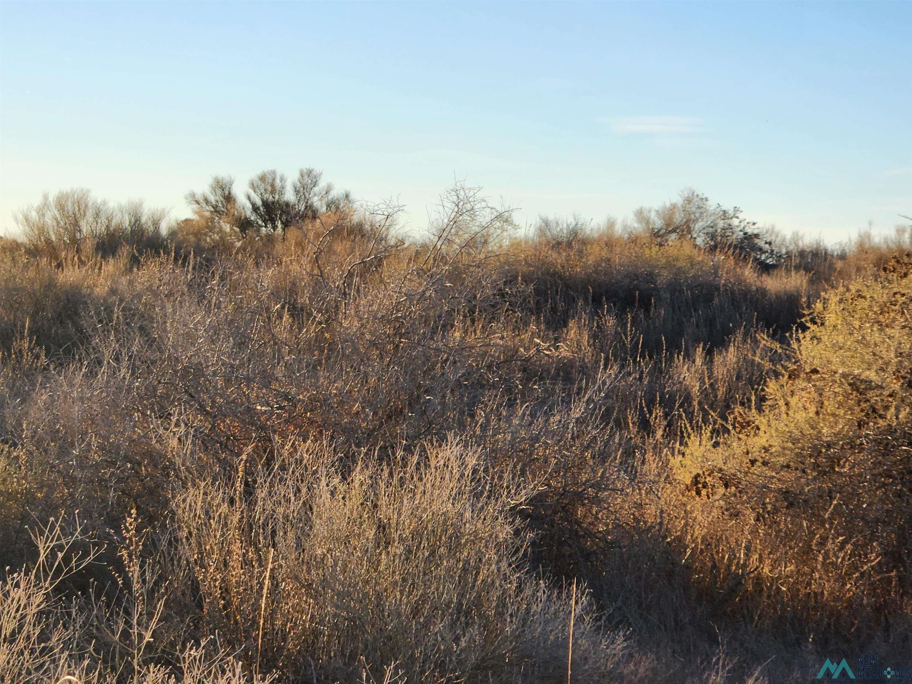 Deming, NM High Desert Land