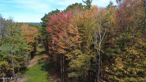 Catskill Land Parcel For Sale