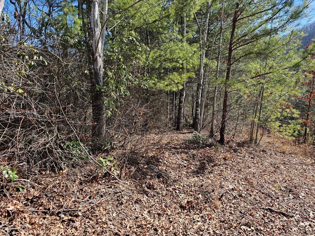 Picture 4