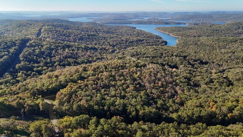 Private Wooded Land in Galena